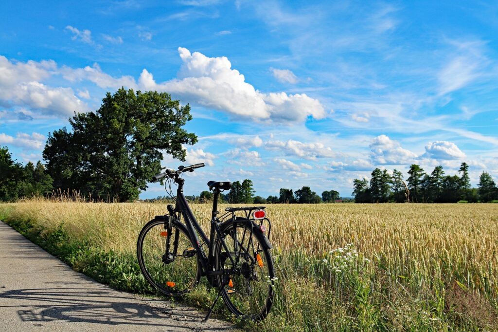 summer, bicycle, cycling tour